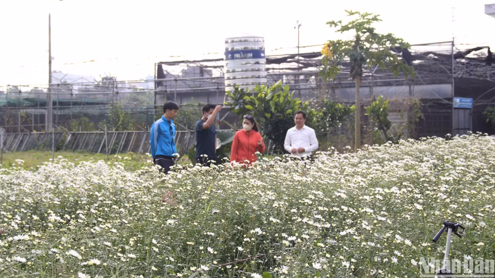 Nhiều người tìm đến tham quan mô hình.