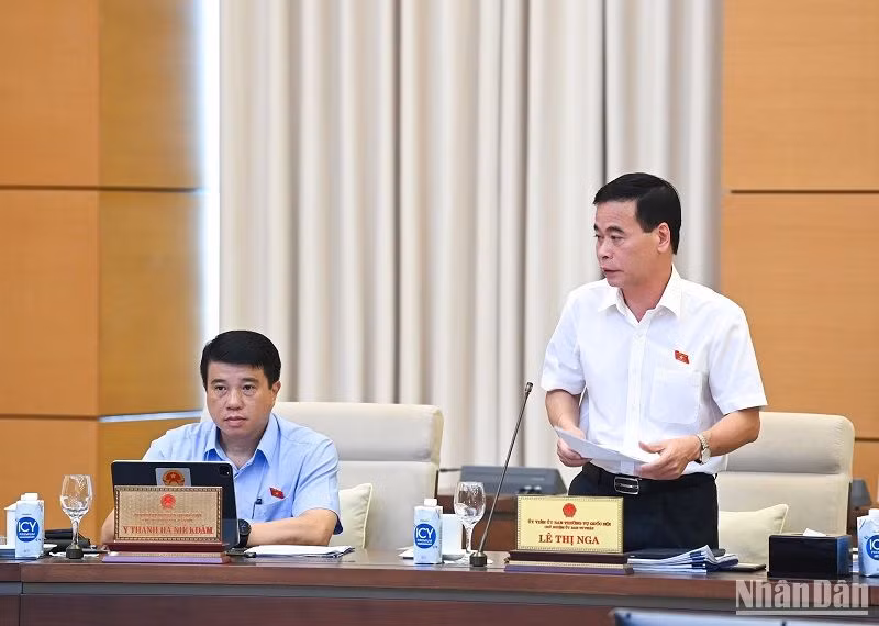 Phó Chủ nhiệm Ủy ban Tư pháp Nguyễn Mạnh Cường báo cáo tại phiên họp. (Ảnh: DUY LINH)