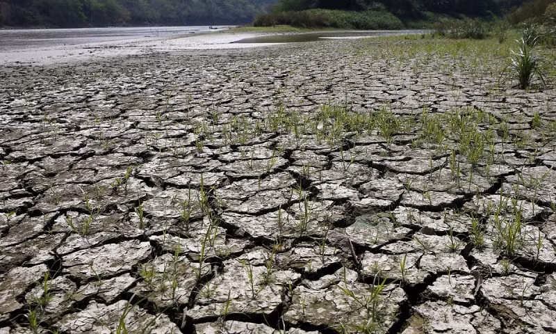 El Nino khiến các hiện tượng thời tiết cực đoan trở nên trầm trọng hơn. (Ảnh minh họa: Reuters)