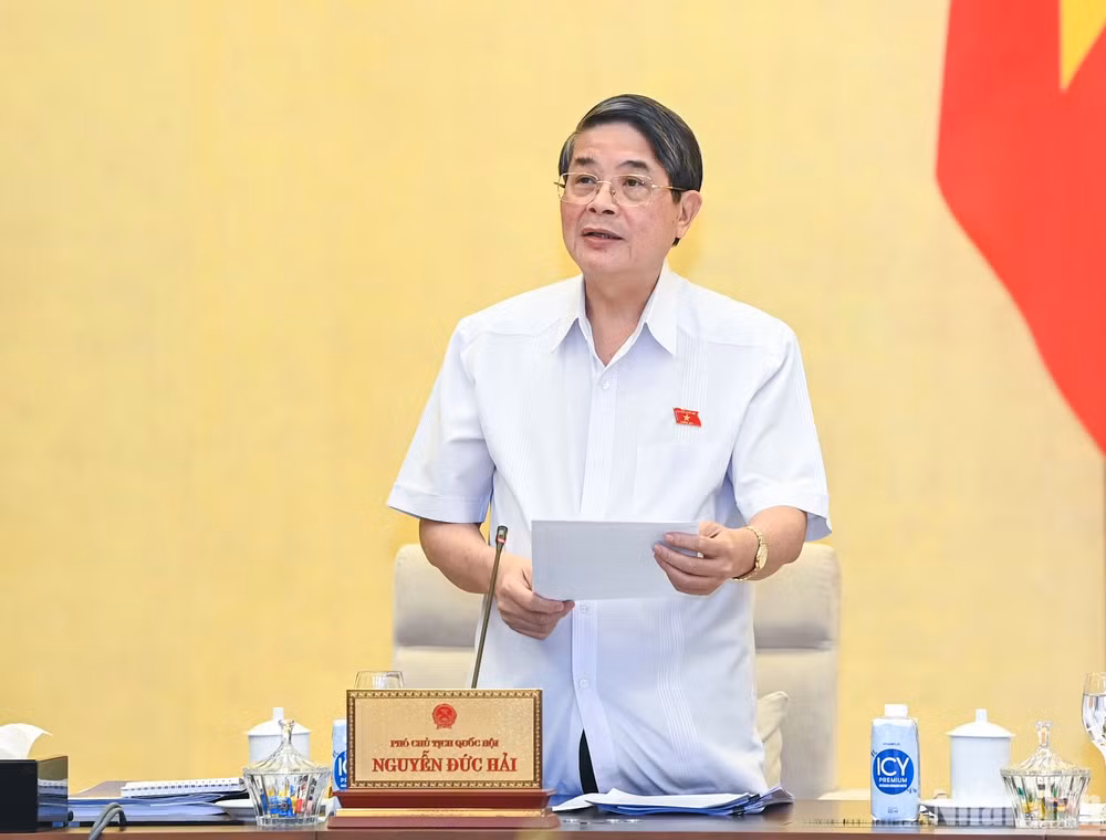 Phó Chủ tịch Quốc hội Nguyễn Đức Hải phát biểu kết luận nội dung thảo luận. (Ảnh: DUY LINH)