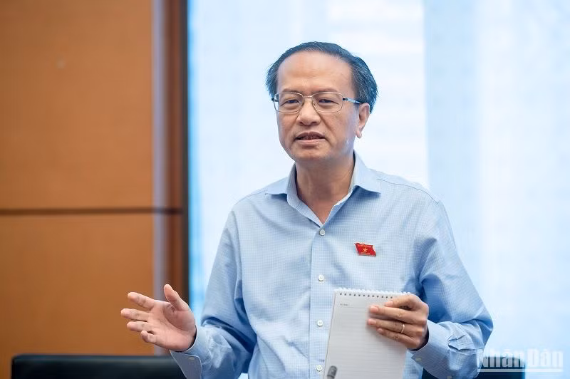 Đại biểu Quốc hội Đinh Ngọc Minh (đoàn Cà Mau).