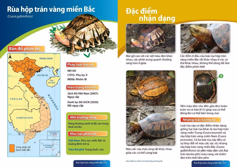 Sách cung cấp thông tin cụ thể về từng loài như bản đồ phân bố, pháp luật bảo vệ, hiện trạng bảo tồn, địa điểm nhận dạng.
