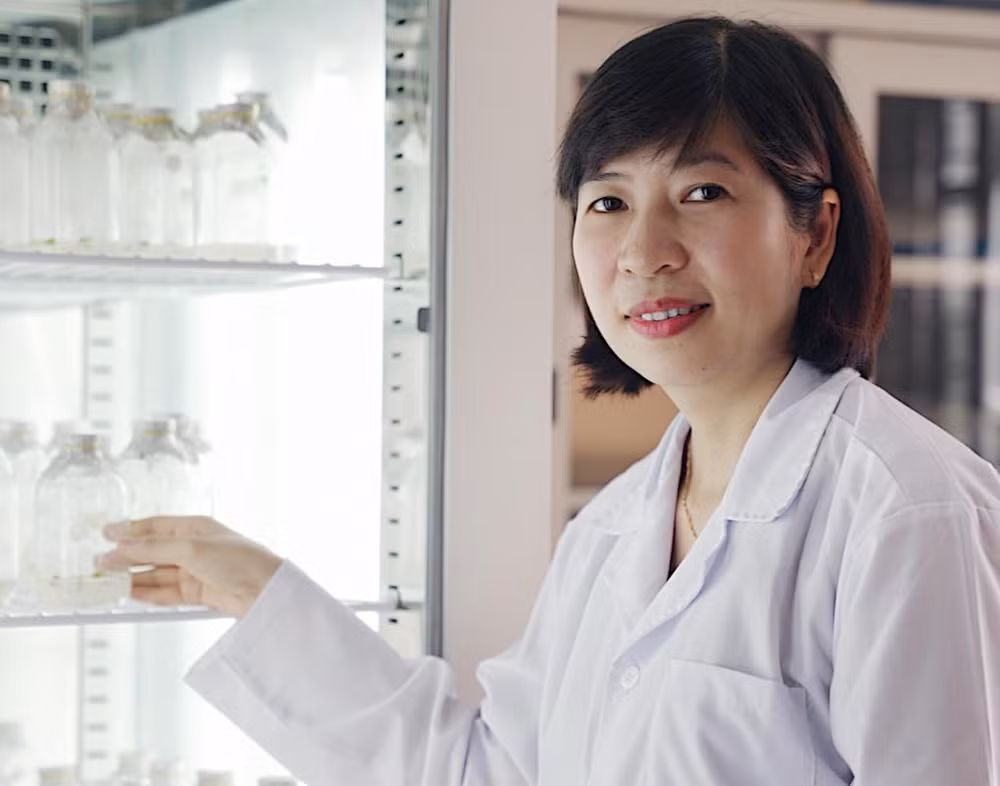 PGS, TS Phan Thị Phương Nhi. PGS, TS Phan Thị Phương Nhi.