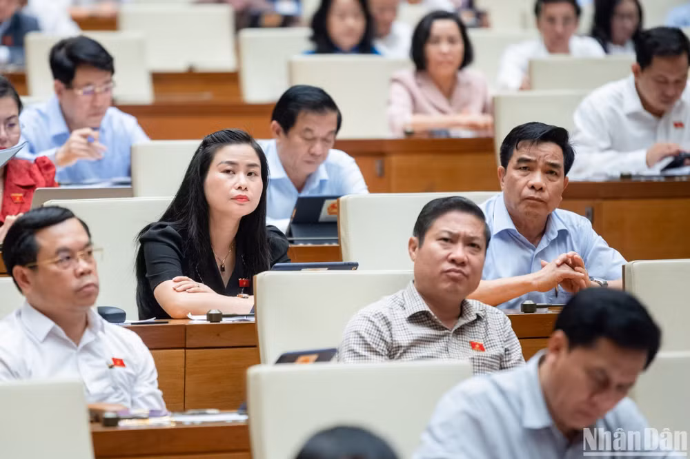 Các đại biểu dự phiên họp. (Ảnh: DUY LINH) Các đại biểu dự phiên họp. (Ảnh: DUY LINH)