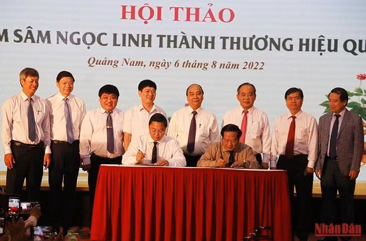 Ký kết hợp tác giữa hai tỉnh Quảng Nam và Kon Tum về nâng tầm sâm Ngọc Linh thành thương hiệu quốc gia. Ký kết hợp tác giữa hai tỉnh Quảng Nam và Kon Tum về nâng tầm sâm Ngọc Linh thành thương hiệu quốc gia.