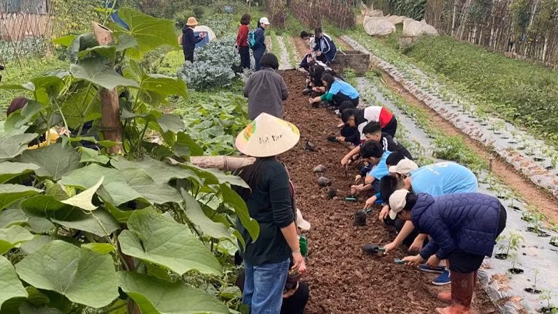 Các em học sinh hào hứng khi được trải nghiệm các công việc nhà nông.