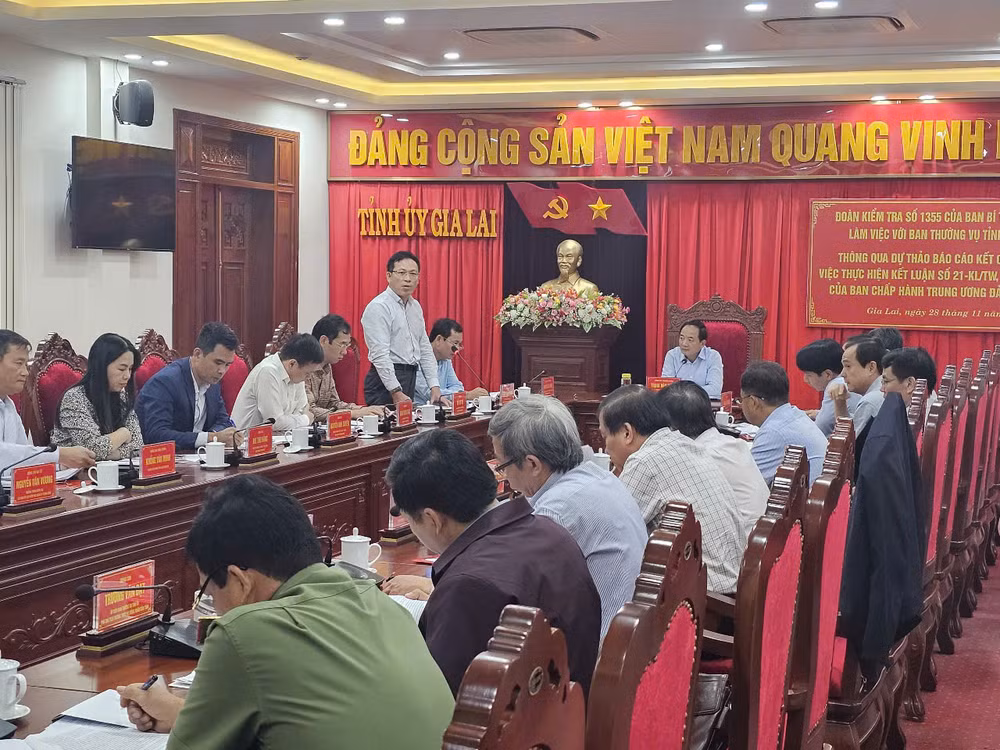 Thành viên Đoàn kiểm tra phát biểu ý kiến tại buổi làm việc.