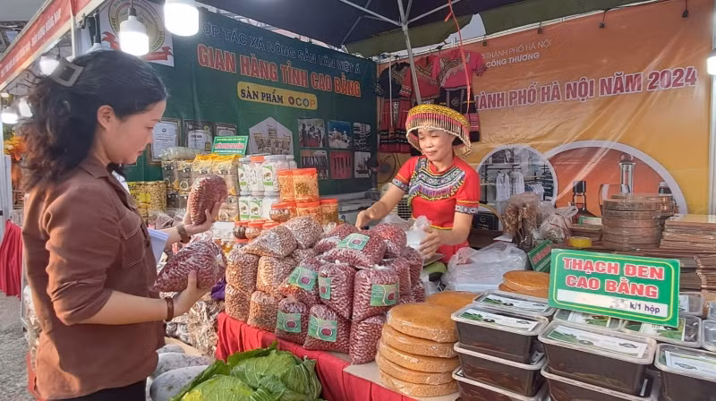 Chương trình Tuần hàng Việt thành phố Hà Nội còn hỗ trợ nhiều doanh nghiệp, cơ sở sản xuất của các tỉnh, thành phố khác.