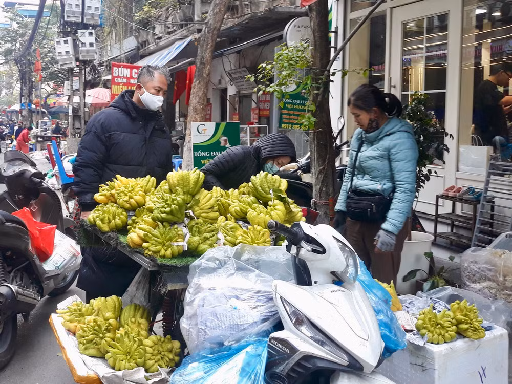 Quả phật thủ to, đẹp có giá vài trăm nghìn đồng/quả. Quả phật thủ to, đẹp có giá vài trăm nghìn đồng/quả.