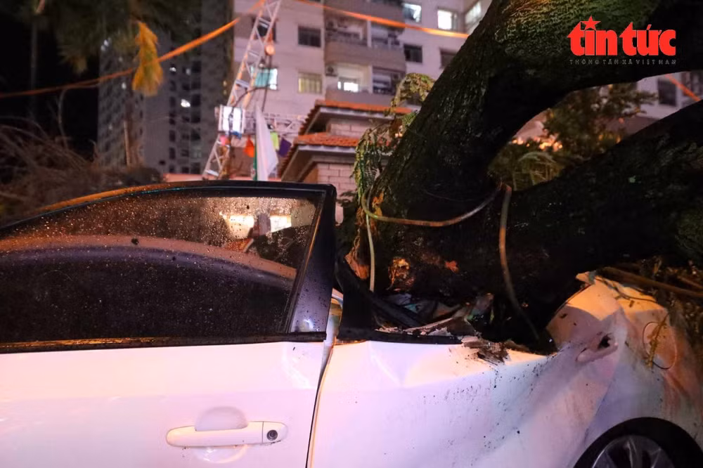 Hà Nội: Mưa kèm gió lớn khiến cây đổ đè lên nhiều ô-tô