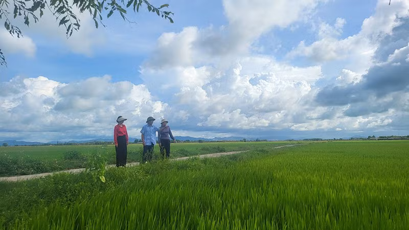 Người dân xã Cẩm Dương, huyện Cẩm Xuyên (Hà Tĩnh) tích cực chuyển đổi ruộng đất, phát triển sản xuất.
