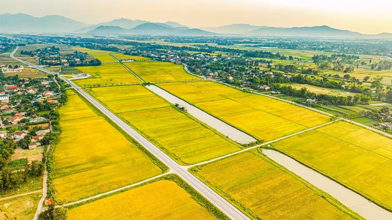 Diện mạo làng quê nông thôn mới cũng tràn đầy sức sống mới. Diện mạo làng quê nông thôn mới cũng tràn đầy sức sống mới.