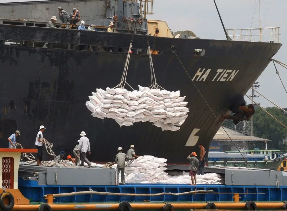 Năm 2025, do nguồn cung toàn cầu tăng cao, các doanh nghiệp xuất khẩu gạo Việt Nam cần chủ động mở rộng thị trường xuất khẩu. Ảnh: LÊ TOÀN