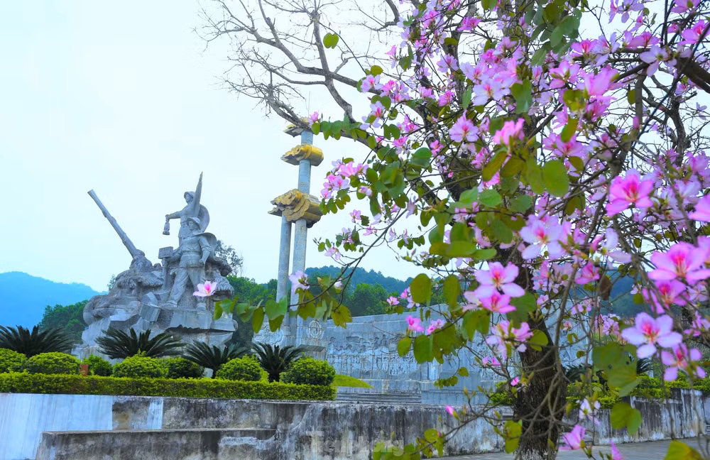 Khu Di tích lịch sử quốc gia Truông Bồn.