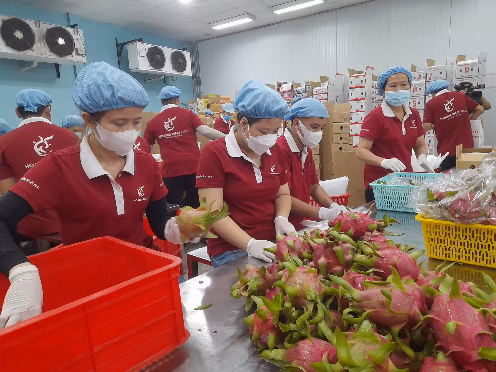 Với nhiều công nhân, có việc làm đã là may mắn.
