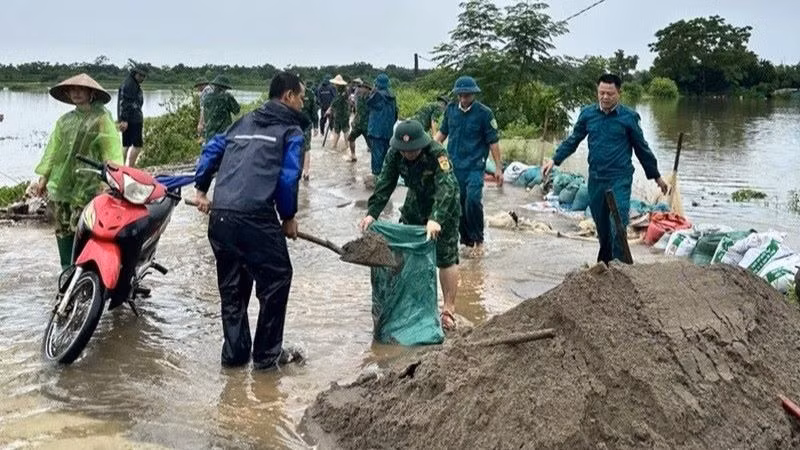 Lực lượng chức năng huyện Chương Mỹ khắc phục sự cố tràn đê. 