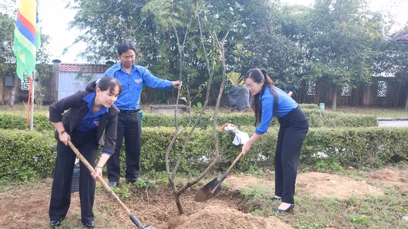 Đoàn viên, thanh niên tỉnh Bình Định trồng cây xanh tại khu tưởng niệm Nguyễn Sinh Sắc.