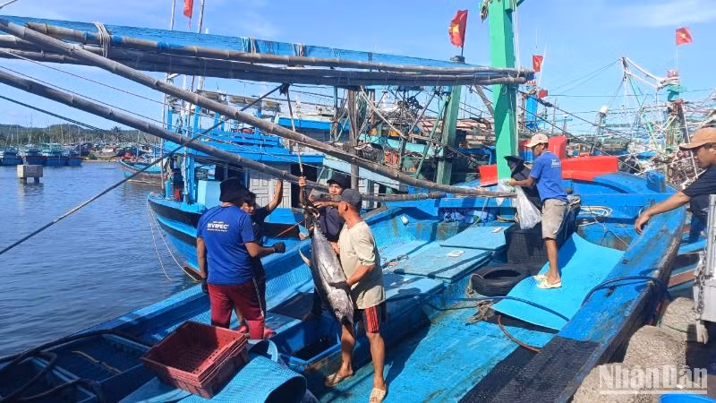 Thủy sản khai thác đều phải có nguồn gốc rõ ràng. Thủy sản khai thác đều phải có nguồn gốc rõ ràng.
