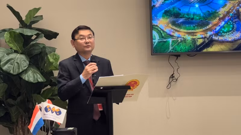 Phó Chủ tịch Ủy ban nhân dân tỉnh Bình Định Nguyễn Tự Công Hoàng phát biểu tại hội thảo. (Ảnh: Trung tâm Xúc tiến đầu tư Bình Định) Phó Chủ tịch Ủy ban nhân dân tỉnh Bình Định Nguyễn Tự Công Hoàng phát biểu tại hội thảo. (Ảnh: Trung tâm Xúc tiến đầu tư Bình Định)