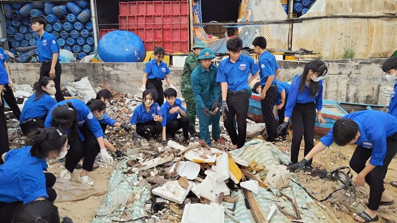 Thanh niên Tỉnh đoàn Bình Định ra quân làm sạch bờ biển.