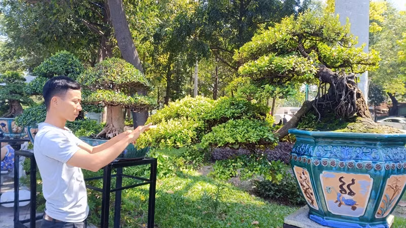 Những tác phẩm tại triển lãm đều được lựa chọn kỹ càng, thể hiện sức mạnh và tiềm năng sinh vật cảnh Việt Nam.