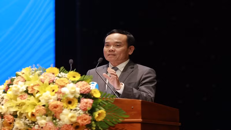 Phó Thủ tướng Chính phủ Trần Lưu Quang đã có những đánh giá, chia sẻ quý báu với lãnh đạo tỉnh Bình Định trong công cuộc xây dựng, phát triển kinh tế.
