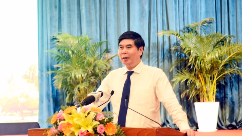 Phó Chủ tịch Ủy ban nhân dân tỉnh Bình Định Lâm Hải Giang phát biểu chỉ đạo.