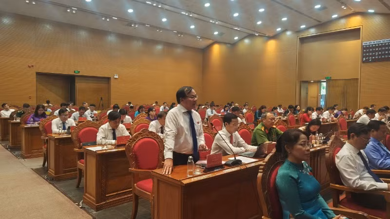 Đại biểu huyện Tây Sơn phát biểu tại kỳ họp. Đại biểu huyện Tây Sơn phát biểu tại kỳ họp.