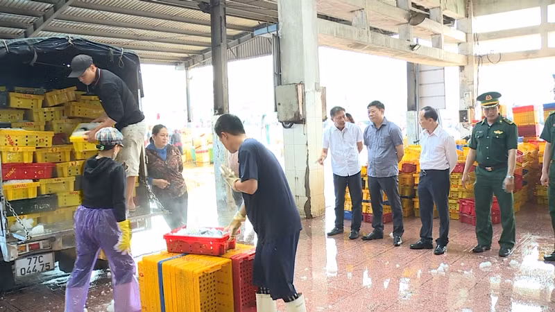 Đoàn công tác kiểm tra tại Cảng cá Quy Nhơn.