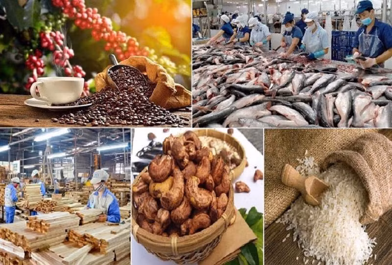 Tăng trưởng ngành trong tháng 1 năm 2025 đạt được những kết quả tích cực. Tăng trưởng ngành trong tháng 1 năm 2025 đạt được những kết quả tích cực.
