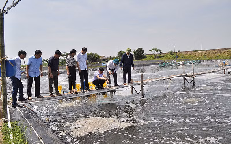 Cán bộ và người dân xã Kim Trung, huyện Kim Sơn, tỉnh Ninh Bình trao đổi kỹ thuật nuôi trồng thủy sản.
