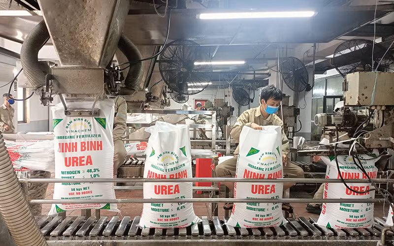 Sản xuất phân đạm Urê tại Công ty Trách nhiệm hữu hạn một thành viên Đạm Ninh Bình (Tập đoàn Hóa chất Việt Nam).