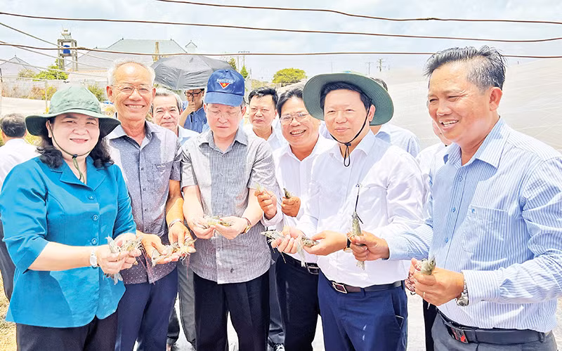 Tỷ phú nông dân Lê Văn Sấm (hàng đầu, thứ 2 từ trái sang) giới thiệu về tôm nuôi tại trang trại.