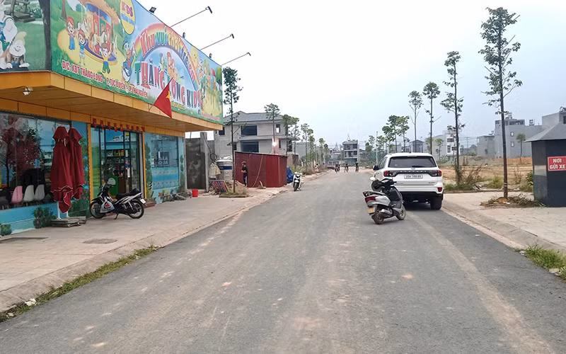 Cây xanh tại khu đô thị Thăng Long, thành phố Thái Nguyên được trồng đúng chủng loại, quy cách nên phát triển tốt. Cây xanh tại khu đô thị Thăng Long, thành phố Thái Nguyên được trồng đúng chủng loại, quy cách nên phát triển tốt.