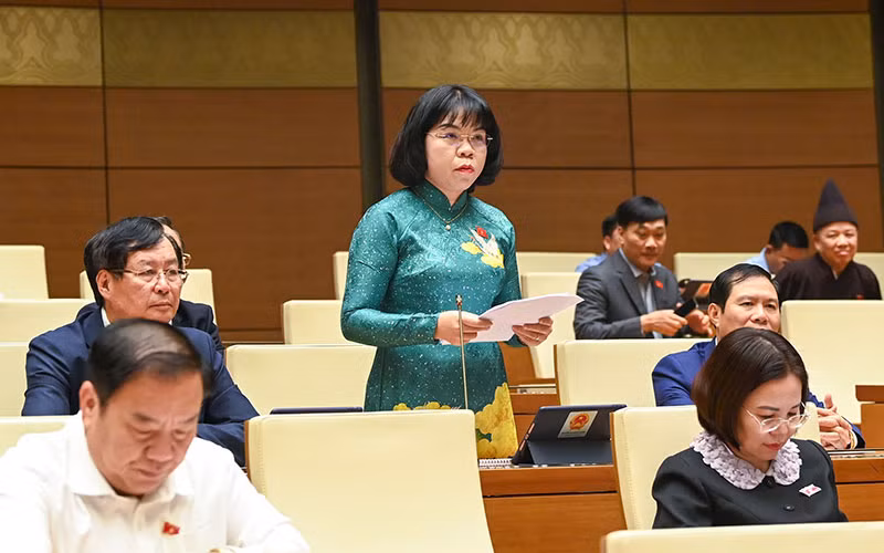 Đại biểu Quốc hội tỉnh Bình Dương Nguyễn Thị Ngọc Xuân phát biểu ý kiến thảo luận. (Ảnh DUY LINH)