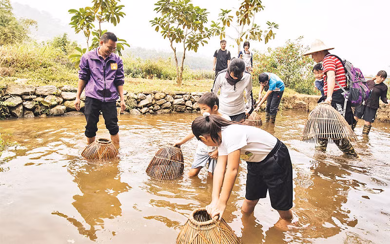 Khách du lịch tham gia trải nghiệm làm nông nghiệp tại Khu du lịch sinh thái Đồng Quê (huyện Ba Vì).