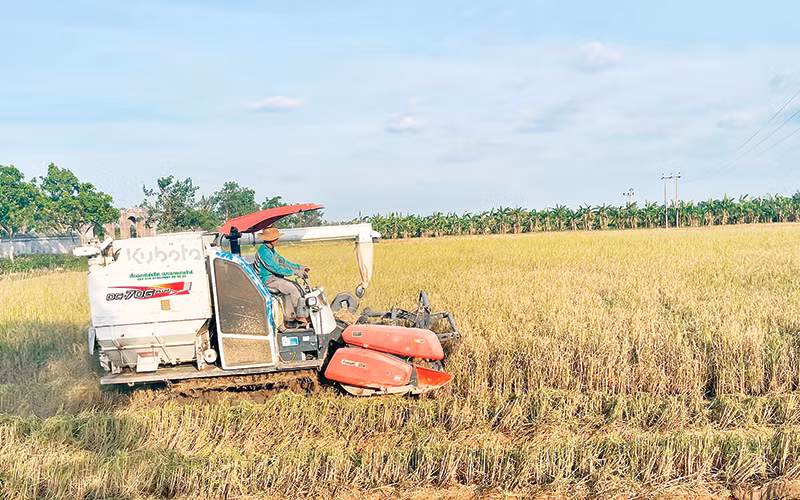 Trong 5 năm, Hải Dương giảm gần 1.700 ha đất nông nghiệp.