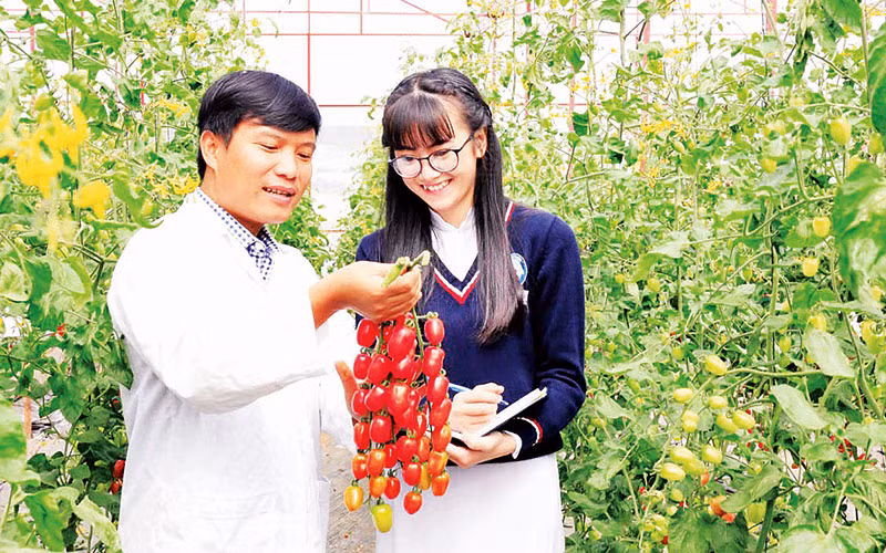 Toàn tỉnh có 768 nhãn hiệu được cấp chứng nhận thương hiệu “Đà Lạt - Kết tinh kỳ diệu từ đất lành”.