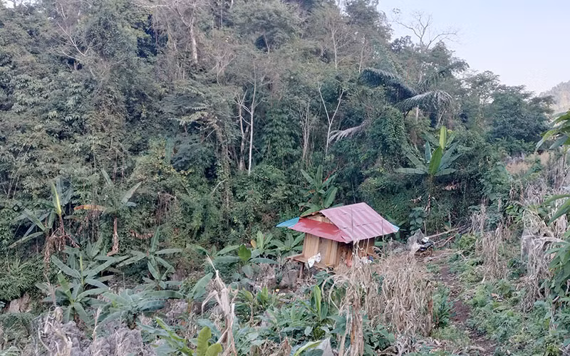 Một chiếc lán gỗ lợp tôn đỏ nằm giữa rừng phòng hộ khu vực giáp ranh hai tỉnh Sơn La và Điện Biên.