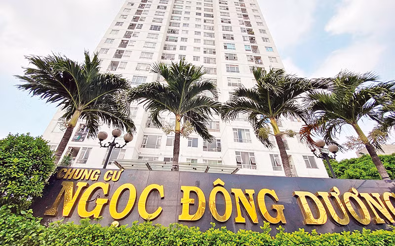 Qua xác minh, bể chứa nước máy của chung cư Ngọc Đông Dương bị “pha loãng” với hệ thống nước giếng khoan làm chất lượng nước bị ô nhiễm.