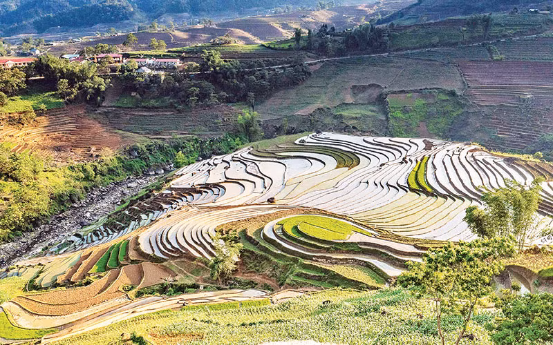 Ruộng bậc thang mùa đổ ải 