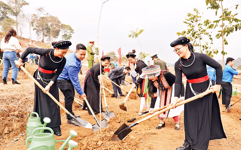 Các địa phương trong tỉnh Tuyên Quang hưởng ứng Tết trồng cây Xuân Ất Tỵ 2025.