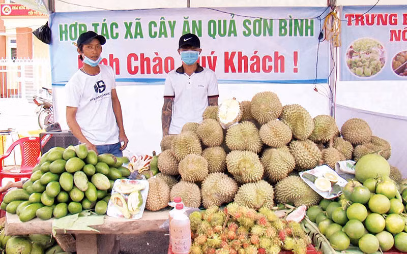 Một gian hàng trái cây tại Lễ hội trái cây Khánh Sơn, tỉnh Khánh Hòa. (Ảnh PHONG NGUYÊN)