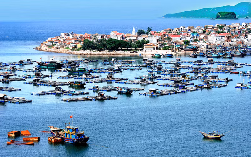 Xã đảo Nghi Sơn, thị xã Nghi Sơn, tỉnh Thanh Hóa.