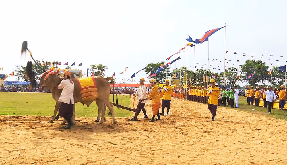 Lễ hội Tịch điền năm nay diễn ra tại Sân vận động tỉnh Kampong Thom (Ảnh: SƠN XINH)
