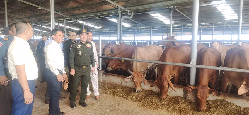 Tổng Giám đốc Thaco Agri Trần Bảo Sơn giới thiệu dự án nuôi bò bán chăn thả. (Ảnh: NGUYỄN HIỆP)