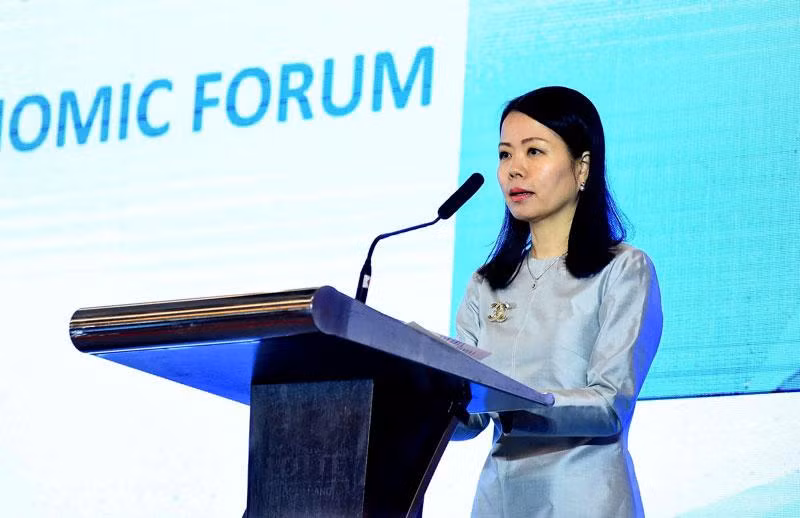 Trợ lý Bộ trưởng Ngoại giao Nguyễn Minh Hằng phát biểu tại Cuộc họp Quan chức cao cấp Chương trình Đông Nam Á của OECD. (Ảnh: Báo Thế giới và Việt Nam)