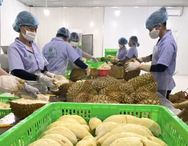 Tỉnh Đắk Nông đang có nhiều cơ chế, chính sách hỗ trợ doanh nghiệp tư nhân hoạt động thuận lợi, kinh doanh hiệu quả.