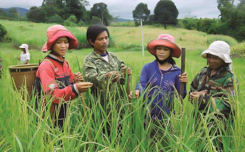 Hoàn thiện hệ thống an sinh xã hội là chìa khóa cho vấn đề xóa đói, giảm nghèo cho người dân vùng đồng bào dân tộc thiểu số và miền núi. Hoàn thiện hệ thống an sinh xã hội là chìa khóa cho vấn đề xóa đói, giảm nghèo cho người dân vùng đồng bào dân tộc thiểu số và miền núi.