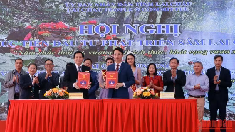 Lãnh đạo tỉnh Lai Châu ký kết hợp tác với đại diện Tập đoàn Đại Nam Sơn. 
